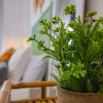 Luxurys Costasol33 Aptos 1 Y 2