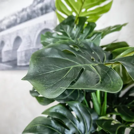 Luxurys Costasol33 Aptos 1 Y 2 アパート コルドバ