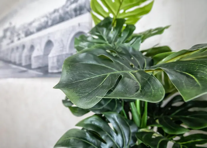 Luxurys Costasol33 Aptos 1 Y 2 Lägenhet Córdoba